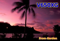 V6 – MICRONESIA