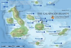 HC8 – Galapagos on 50MHz